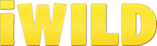 IWild Casino IWild Casino